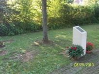 Baumbestattung