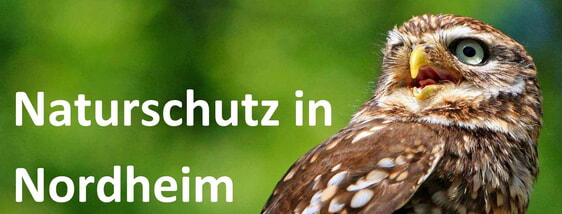 Naturschutz in Nordheim