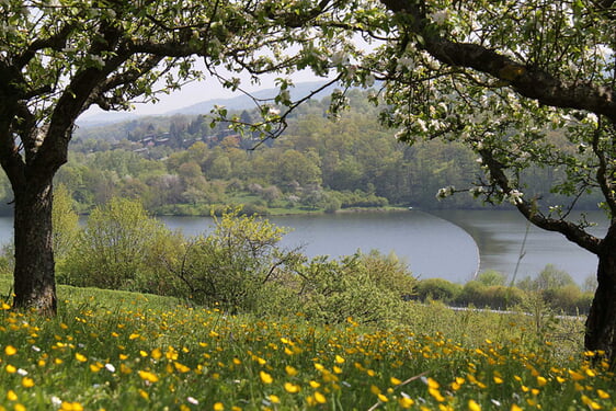 Frühling am Badesee in Zaberfeld Foto Naturpark Stromberg Heuchelberg