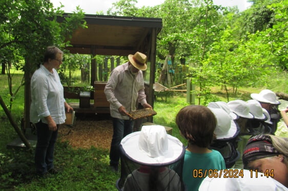 Die Bienen