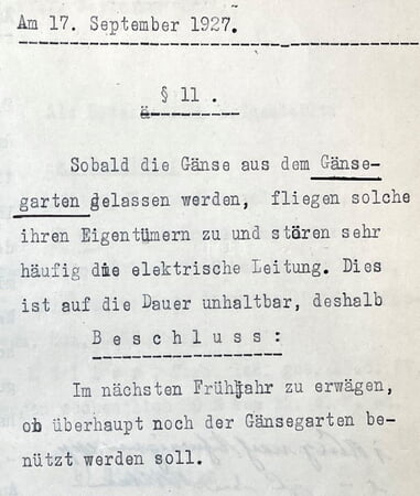 1927: Gänse flogen beim Heimflug in die Stromleitungen; 1928 wurde der Gänsgarten deshalb abgeschafft.