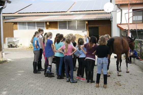 Reitfreizeit des EJW Brackenheim