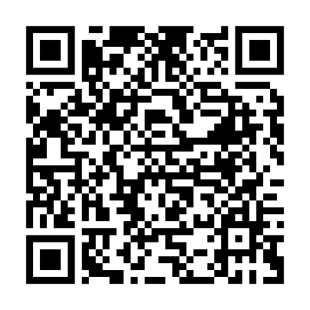 QR-Code Meldeplattform - Asiatische Hornisse