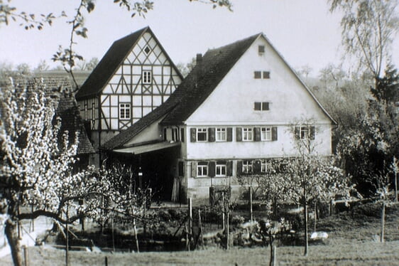 In der Mitte das Gebäude aus dem Jahr 1775. Dahinter der Mühlenneubau aus dem Jahr 1936. Dazwischen befand sich die ehemalige Gipsmühle.