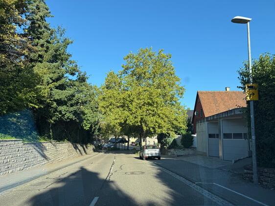 Diese B&auml;ume wachsen direkt auf dem Abwasserkanal. Eine sinnvolle Sanierung der Kanalsch&auml;den kann leider nicht ohne die Entfernung der B&auml;ume rechts der Stra&szlig;e erfolgen.