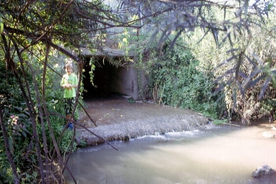 Mündung des Katzentalbaches in den Neckar