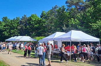 Das Foto zeigt den Verpflegungsstand Nr. 4 beim Marche Gourmande. Hier gibt es &uuml;blicher Weise einen K&auml;seteller und Pinot Noir.