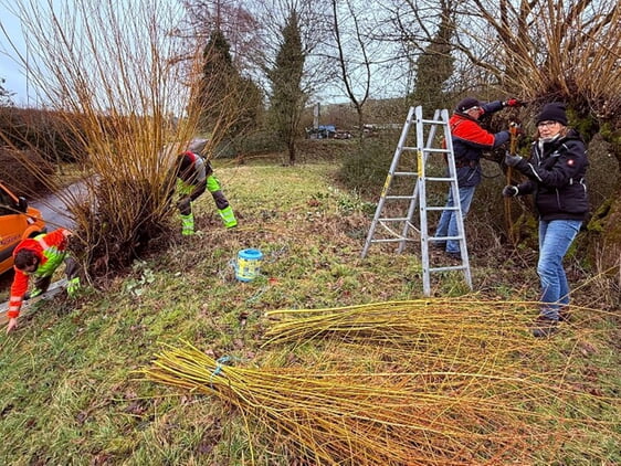 Auch die Kopfweiden der Gemeinde werden jährlich beim Landschaftspflegetag geschnitten. Die geschnittenen Weiden finden ihren Verwendungszweck regelmäßig in den Kindergärten.