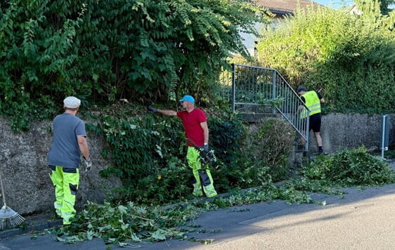 Trotz Maschineneinsatz ist Handarbeit unverzichtbar; bei der Hitze der letzten Zeit eine belastende Arbeit für unsere Bauhofmitarbeiter. Danke für euren Einsatz!