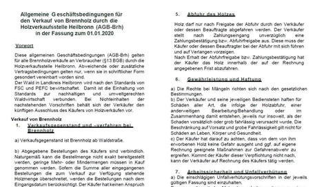 Allgemeine Geschäftsbedingungen