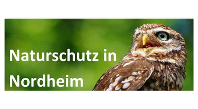 Sommerschnittkurs Streuobstb&auml;ume