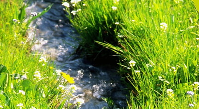 Eingeschr&auml;nkte Wasserentnahme im Landkreis