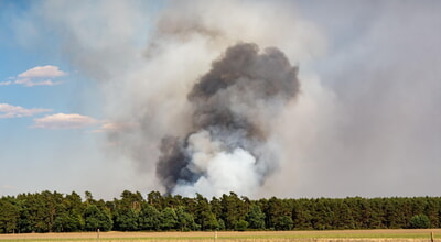 Hinweise bei Waldbrandgefahren