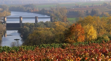 Blick auf den Neckar