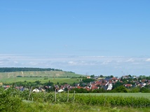 Nordheim Ortsansicht, Weinberge