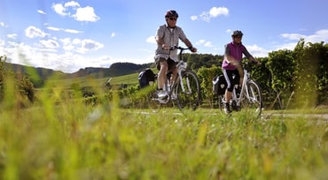 Radfahren durch Weinlandschaft