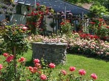 Rathauspark in der Ortsmitte von Nordheim