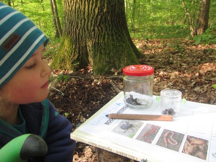 Naturkindergarten Wurzelzwerge