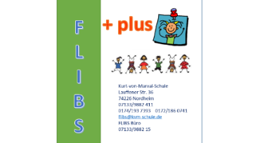 Flibs Plus Logo