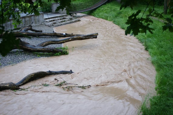 Bild Hochwasser im Park 