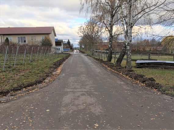 Bild Feldweg im Denzler