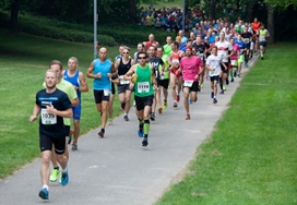 Bild Nordheimlauf 