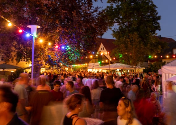 14 Parkfest Samstagnacht